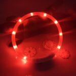 Светящиеся Led ошейник для собак — изображение 3