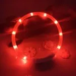 Светящиеся Led ошейник для собак — изображение 3