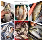 Рыболовная Кормовая приманка, ароматическая приманка для рыбы, пищевая добавка, Наживка для рыб. — изображение 4