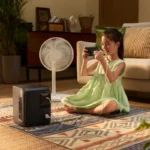 EcoFlow DELTA 3 1000 Air EU — зарядная станция | под заказ — изображение 4