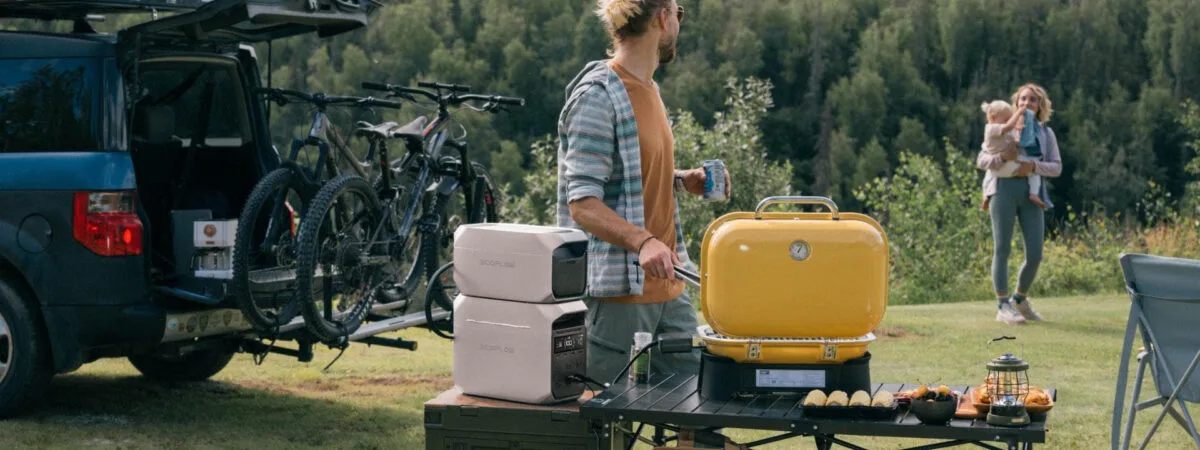 Дополнительная батарея EcoFlow DELTA 3 Smart Extra Battery 1024 Вт·ч LiFePO4, EU/DE — под заказ — изображение 9